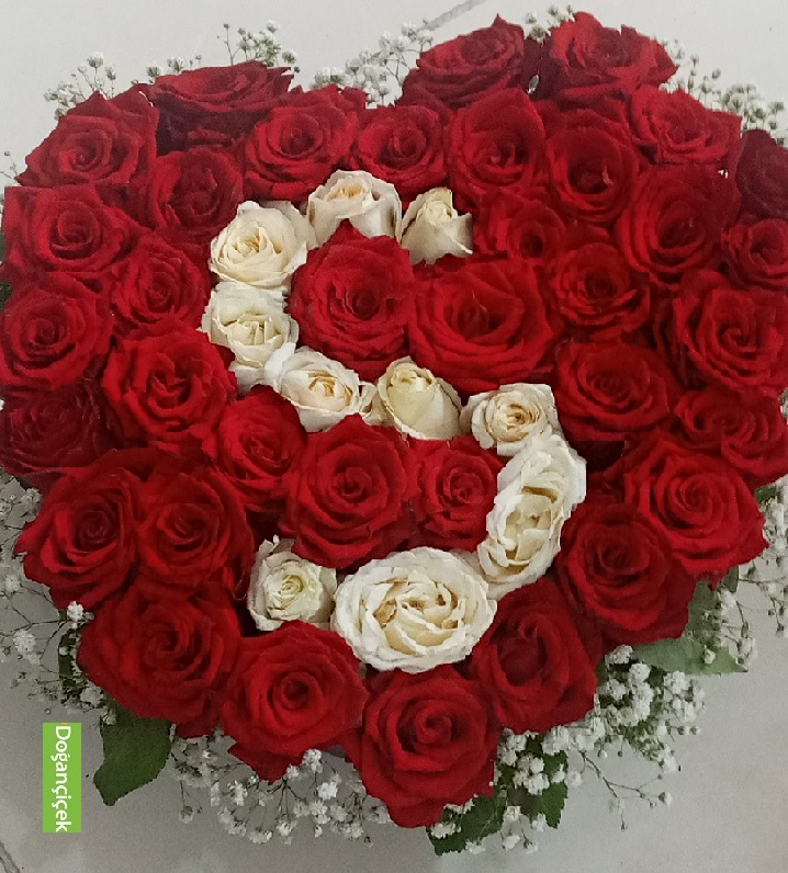 Kutuda S Harf