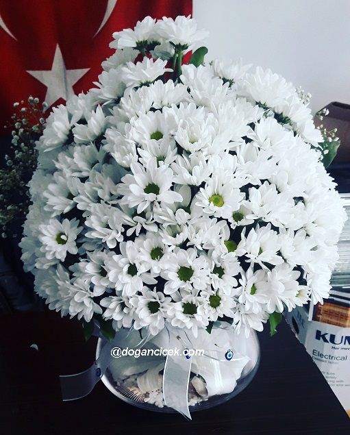 Sevgilime Paptya