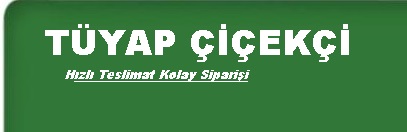 Tyap ieki, Tyap Fuar iek, Tyap iek Siparii